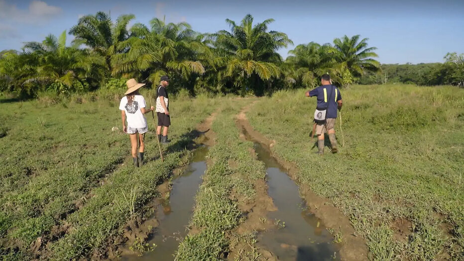 De familie de Jong in de jungle van Costa Rica