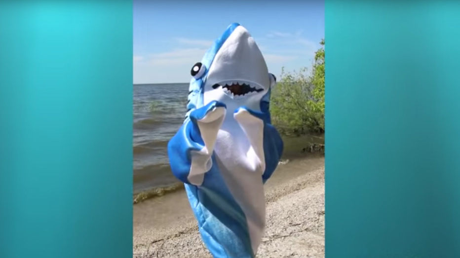 Videosnack: Shark-ira verovert het internet