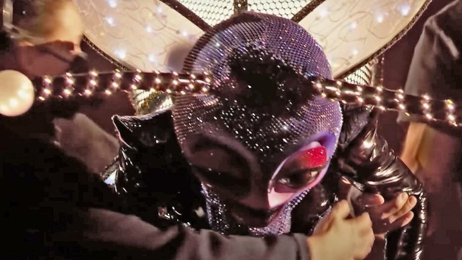 The Masked Singer Firefly The Masked Singer Firefly
