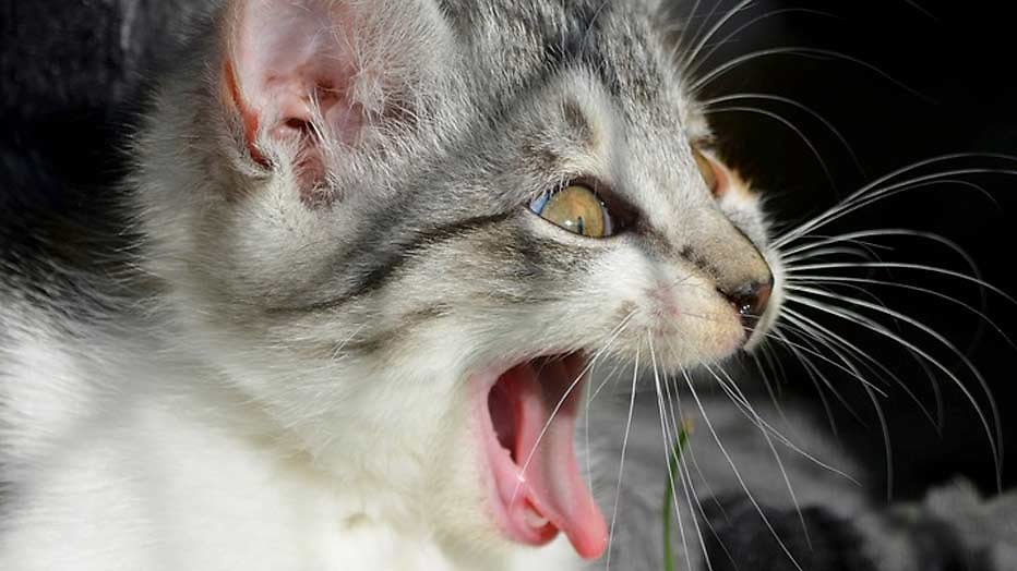 Netflix lanceert horrorserie 10 After Midnight