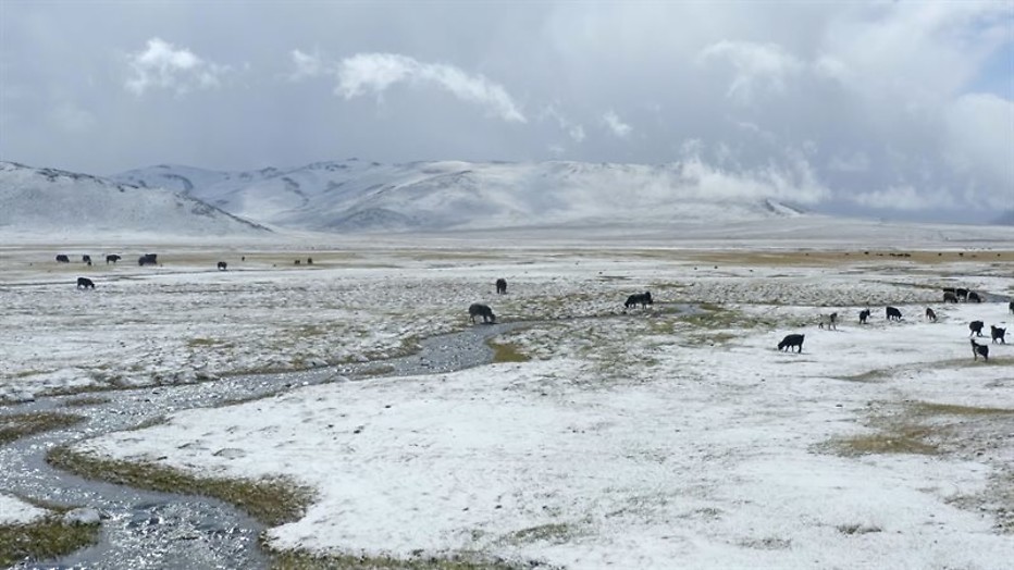 IJskoude ontdekkingen