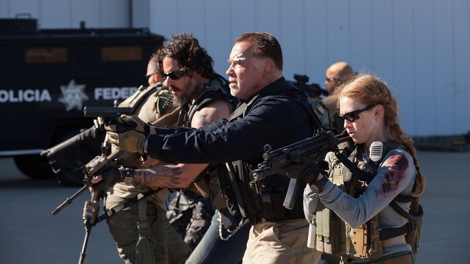 Arnold Schwarzenegger Arnold Schwarzenegger