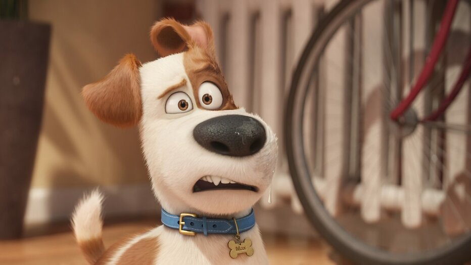 Scène uit The Secret Life of Pets