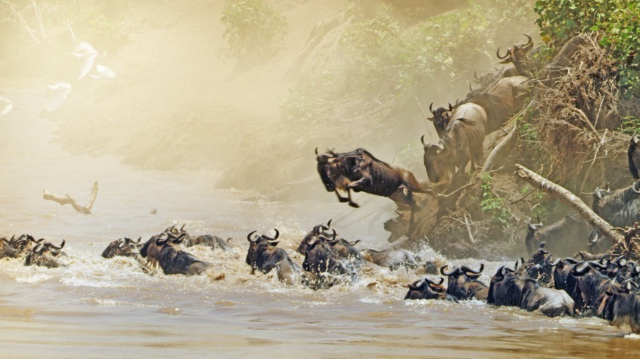 Serengeti Serengeti