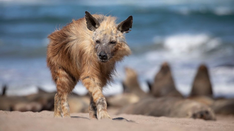 Still uit Seven Worlds, One Planet