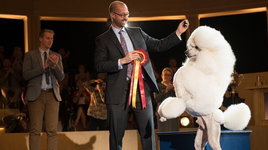 Show Dogs Show Dogs