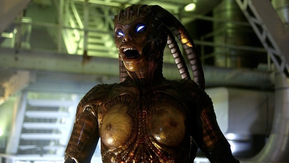 Species III