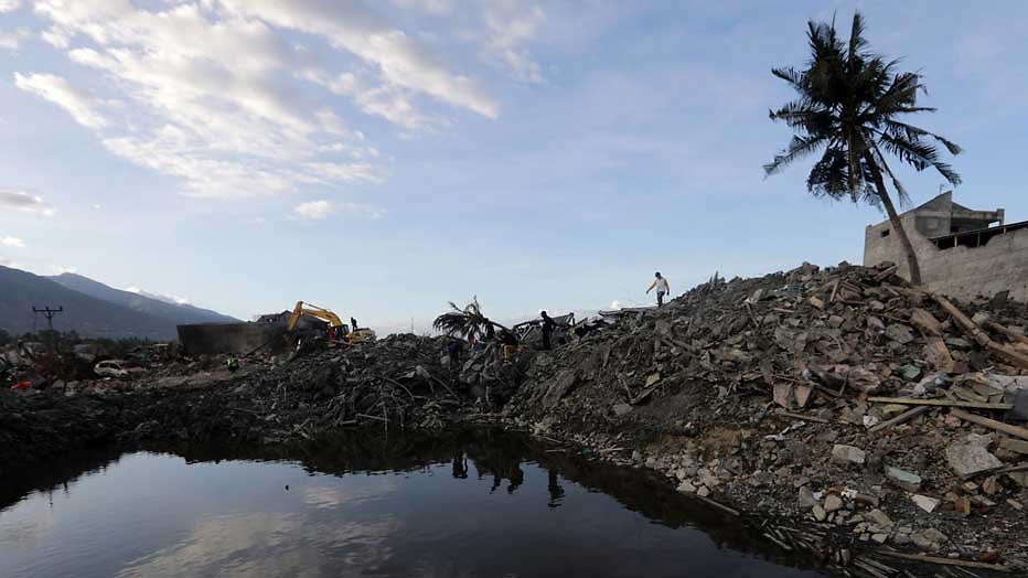 Nationale actiedag voor Sulawesi Nationale actiedag voor Sulawesi