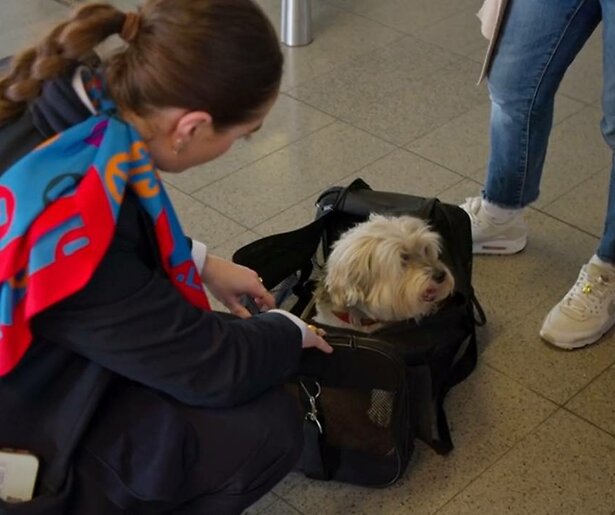 Serie Schiphol Airport krijgt tweede seizoen