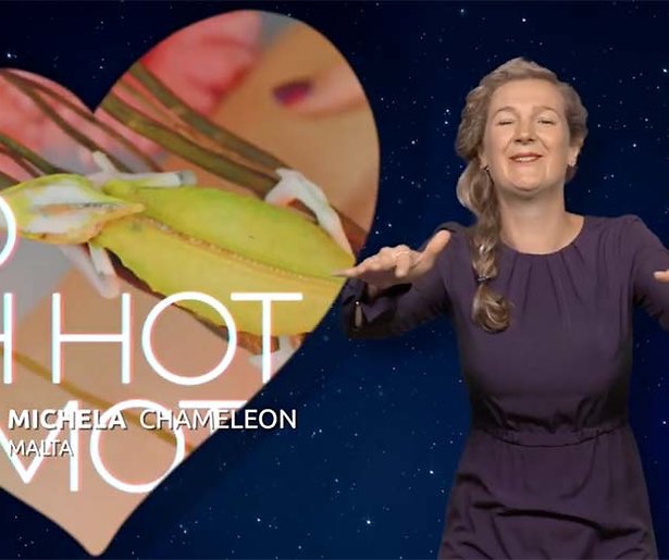 Eurovisie Songfestival voor het eerst met gebarentolk en signdancers