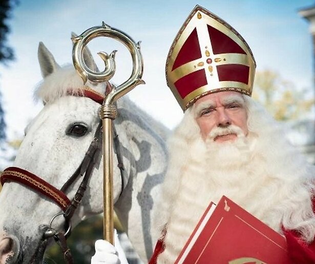 het paard van sinterklaas het paard van sinterklaas