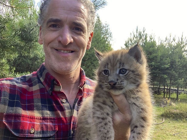 Lynxen terug naar het wild