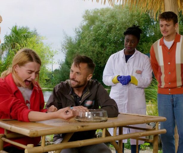 Nieuw seizoen Steken En Prikken