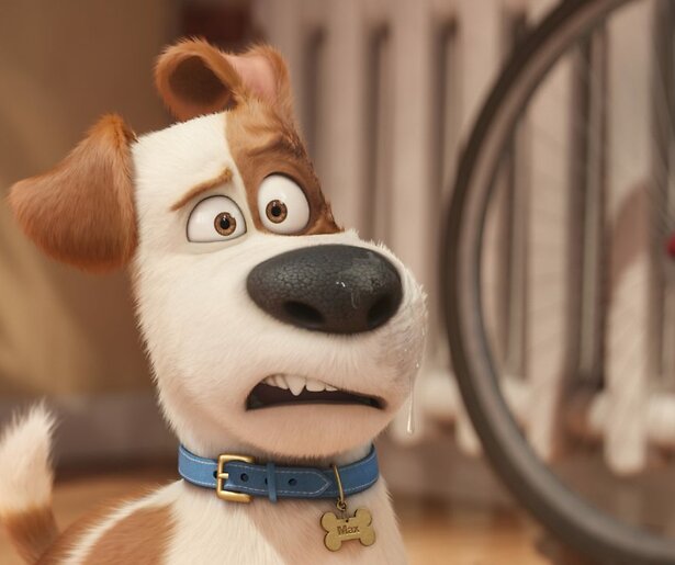 Ontdek de geheimen van je huisdieren in The Secret Life of Pets