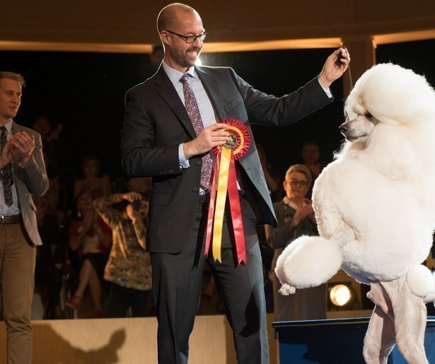 Honden doen het werk in Show Dogs