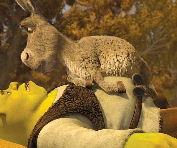 Shrek mist alles aan het stinkende moeras en wil het terug