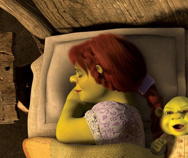 Shrek wil helemaal geen koning worden