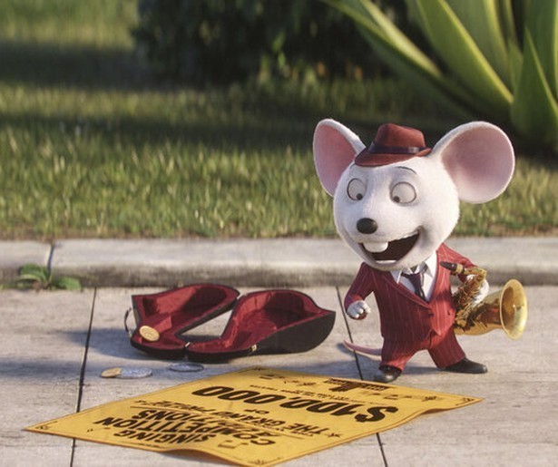 Talentenjacht voor dieren met gigantische hoofdprijs