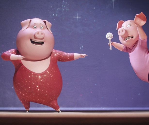 Zangwedstrijd met muzikale dieren