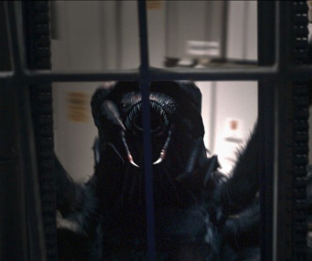 Patrick Muldoon en Christa Campbell jagen in Spiders op levensgevaarlijke spinnen