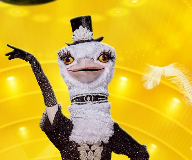 Wie is De Struisvogel in The Masked Singer 2024?