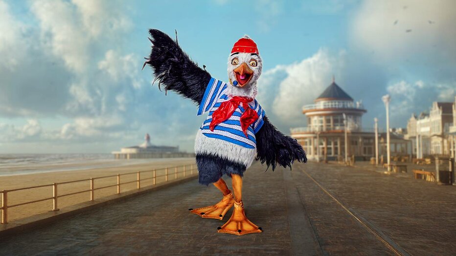 Frank Dane was De Meeuw in The Masked Singer.