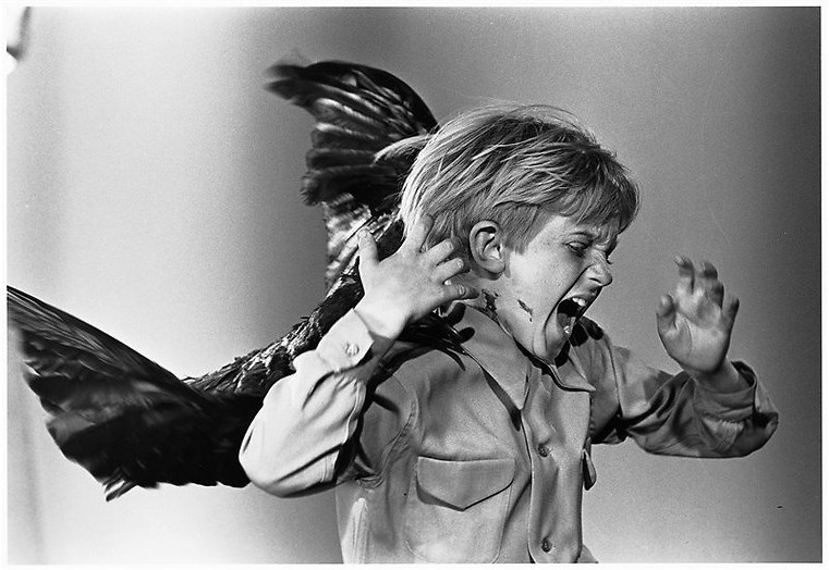 De vogels van Alfred Hitchcock De vogels van Alfred Hitchcock
