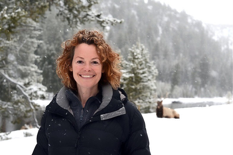 Yellowstone in The great American thaw