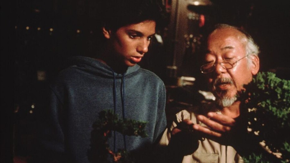 Ralph Macchio en Pat Morita in The Karate Kid