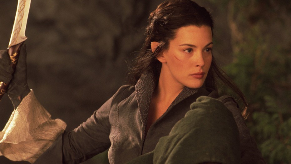 The Lord of the Rings: The Fellowship of the Ring