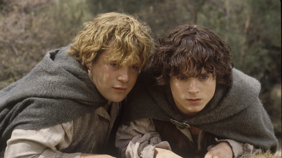 Elijah Wood in The Lord of the Rings: The Two Towers