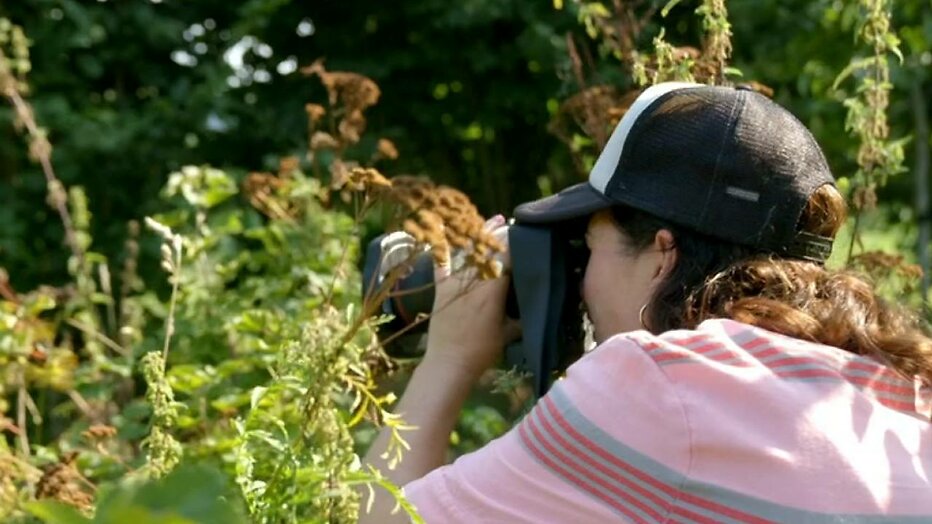Tina de Bruin Het Perfecte Plaatje
