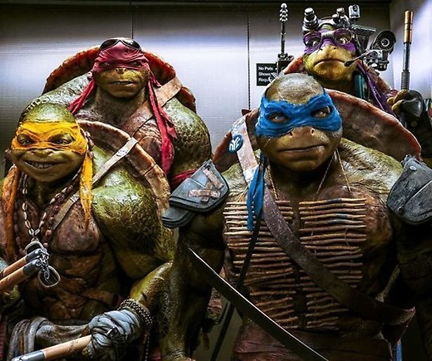 Schildpadden redden New York