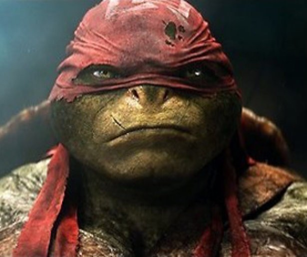 Schildpadden redden New York