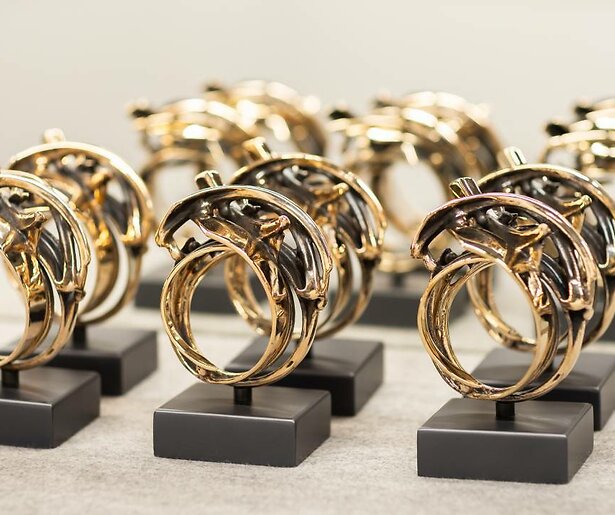 Dit is ‘m: De nieuwe Televizier-Ring Award