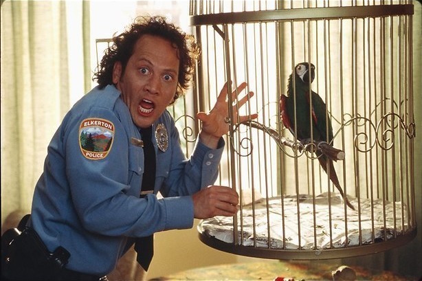 Het dierlijk instinct van Rob Schneider