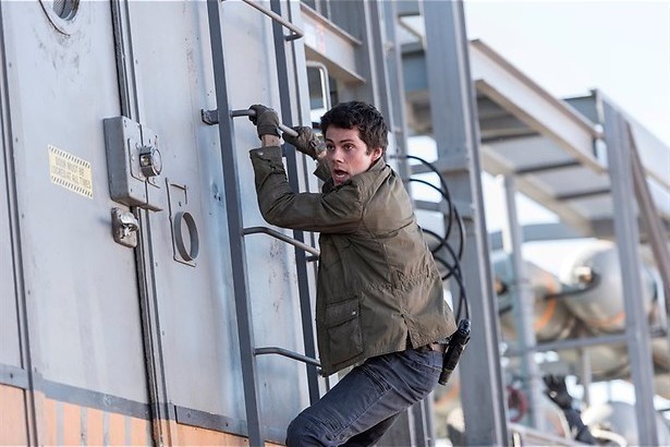 Is dit dan het laatste doolhof?