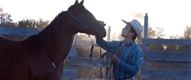 Op zoek naar een nieuw leven