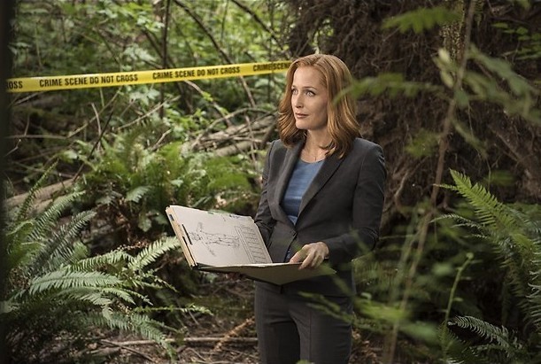 Een moderne Frankenstein