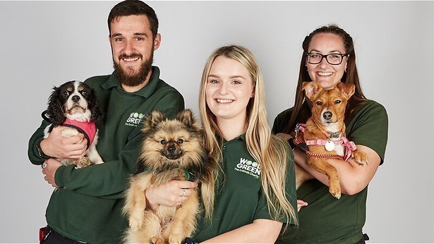 Reportage: Labrador met drie poten zoekt een vriendje