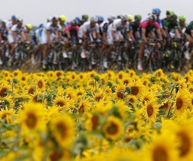 Sprintetappe naar Nancy in Tour de France