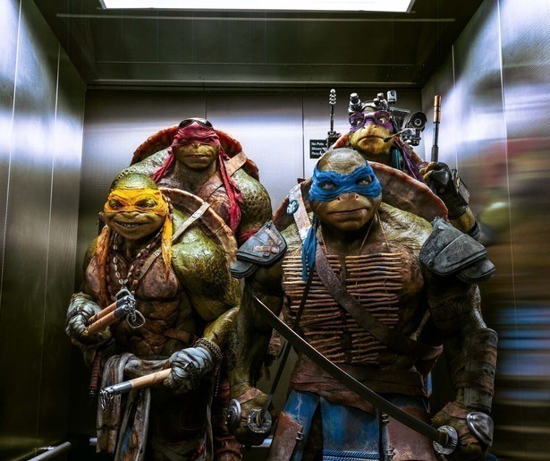 Een stel gemuteerde schildpadden komt in actie in Teenage Mutant Ninja Turtles