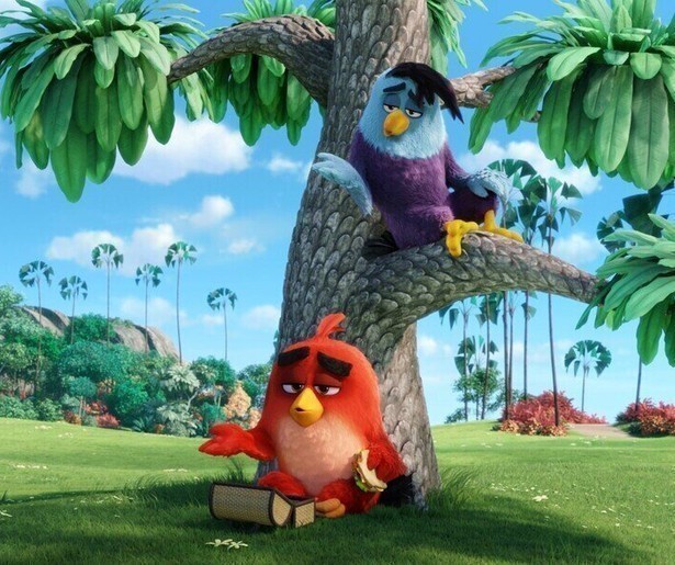 De vogels vs. de varkens in The Angry Birds Movie