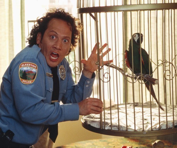 Het dierlijk instinct van Rob Schneider