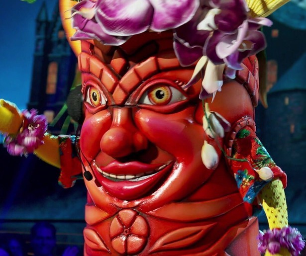 De Amerikaanse editie van The Masked Singer heeft een speciale Harry Potter-avond