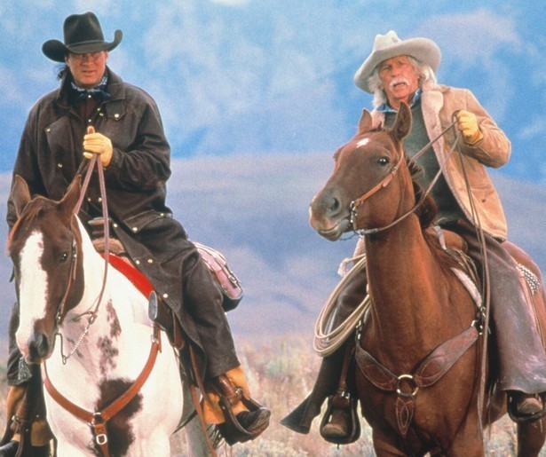 Steven Seagal strijdt tegen een virus als The Patriot