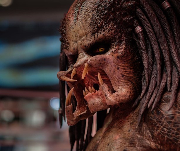 De Predator keert terug naar de aarde