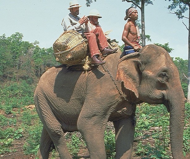 Jean-Claude Van Damme raakt in The Quest verzeild in een vechttoernooi