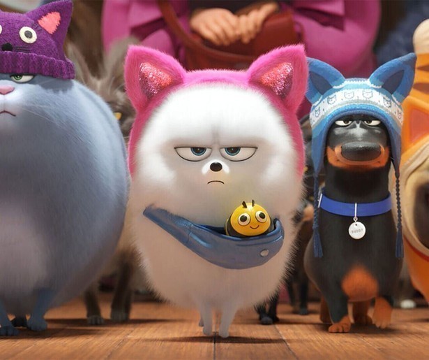 De huisdieren beleven nieuwe avonturen in The Secret Life of Pets 2