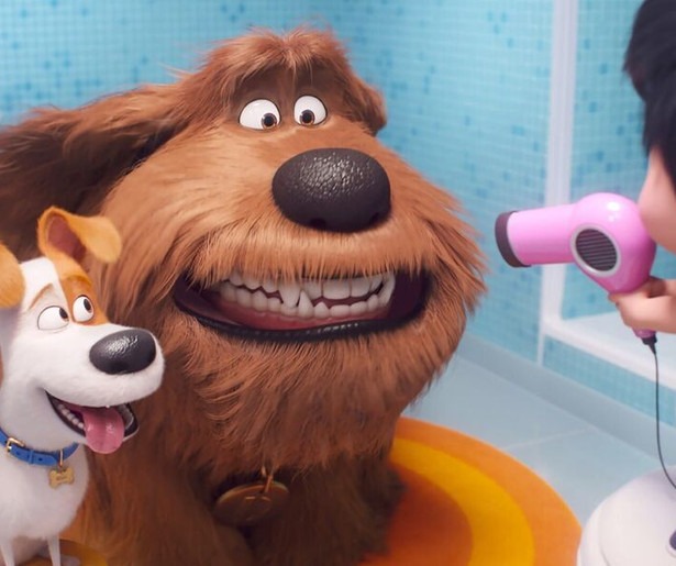 Geniet weer met het hele gezin van The Secret Life of Pets 2